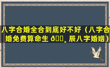 八字合婚全合到底好不好（八字合婚免费算命生 🌸 辰八字婚姻）